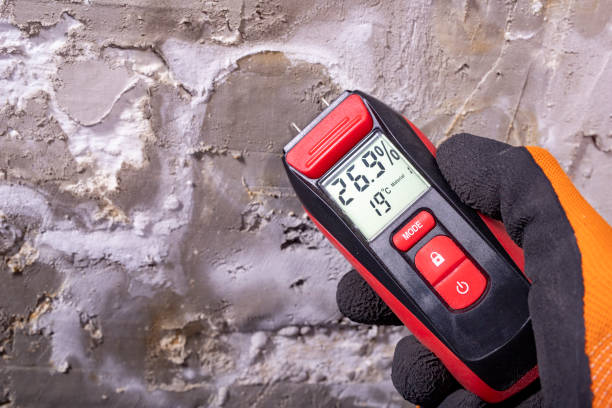 Trusted Turner, OR Mold Removal Experts