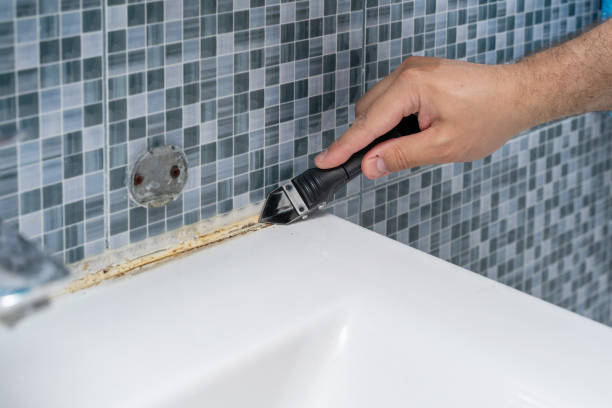 Best Office Mold Removal Services  in Turner, OR