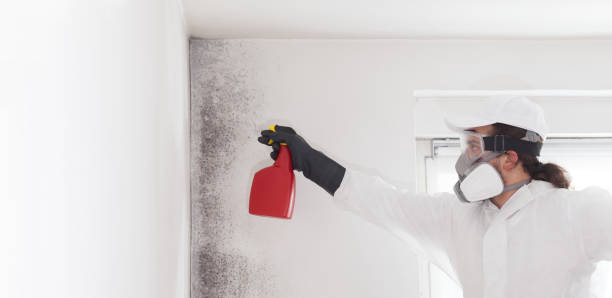 Home Mold Removal in Turner, OR